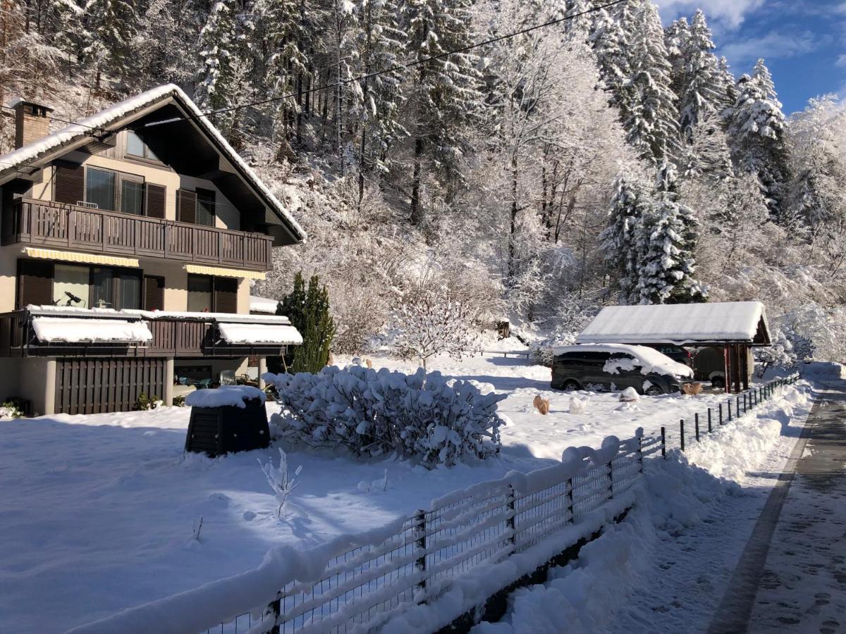 Appartement Savadolinka House à Mojstrana Extérieur photo